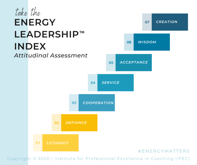 The Energy Leadership Index Assessment